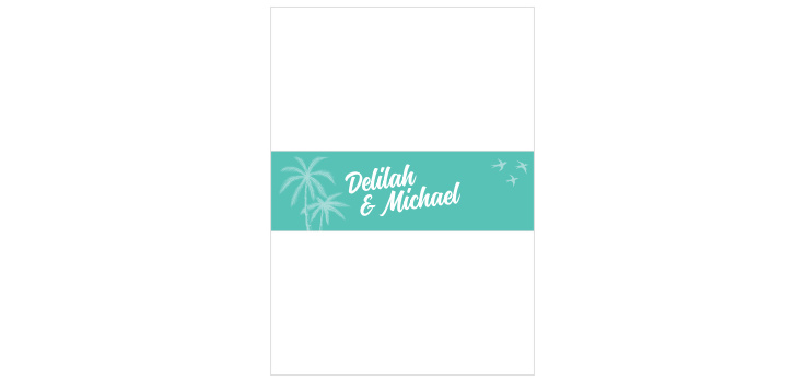 Modern Beachside Wedding Belly Bands