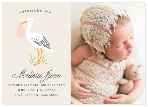 Announce your special delivery with the Stoked Stork Birth Announcements. 