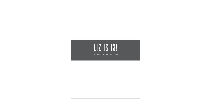 Pleasant Paintbrush Bat Mitzvah Belly Bands