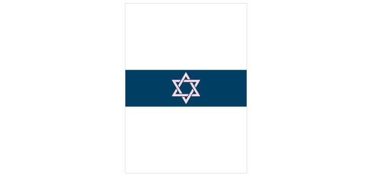 Precious Traditions Bat Mitzvah Belly Bands