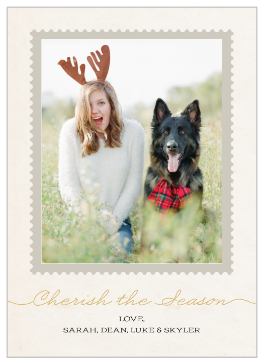 Send your season's greeting with the Polaroid Foil Photo Holiday Cards.
