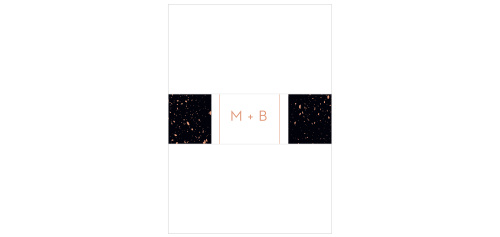 Offering a beautiful contrast of rose-gold foil against a rich-black background, and a rose-gold foil against a pure white box, our stunning Painted Book Wedding Belly Bands look absolutely incredible when wrapped around your invitations.