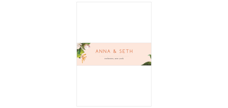 Spring Blush Wedding Belly Bands