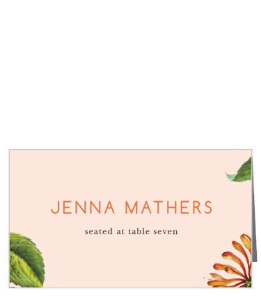 Spring Blush Place Cards