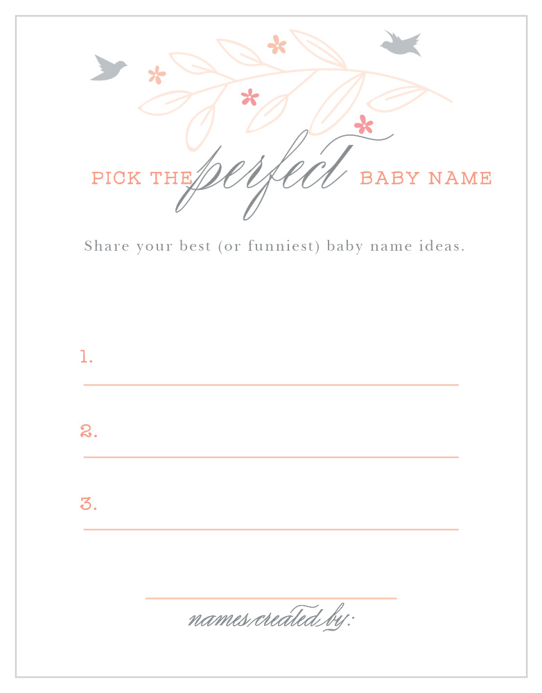 In Flight Baby Name Contest