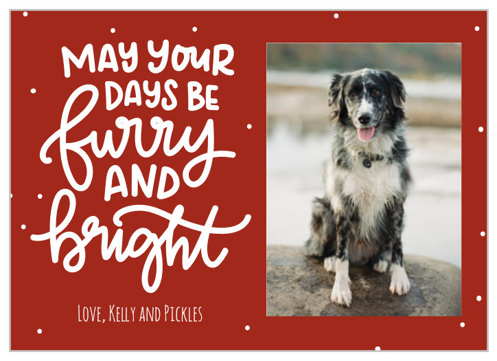 Transform the festive red and swirling text of our Furry & Bright Christmas Cards into your personal holiday well-wishes! With your favorite furry family member adorning the righthand portion of the card, you can be sure that these cards are a lovely addition to your loved ones' homes.