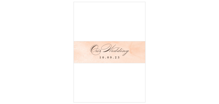 Have & to Hold Wedding Belly Bands