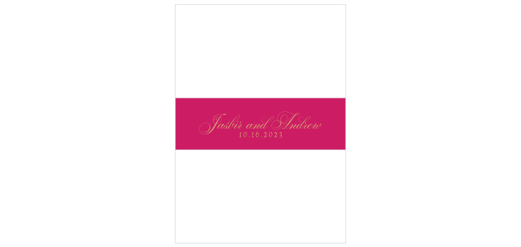 Hindu Celebration Wedding Belly Bands