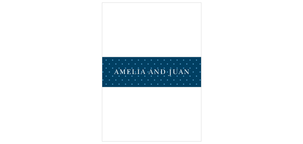 Mexico Fiesta Wedding Belly Bands
