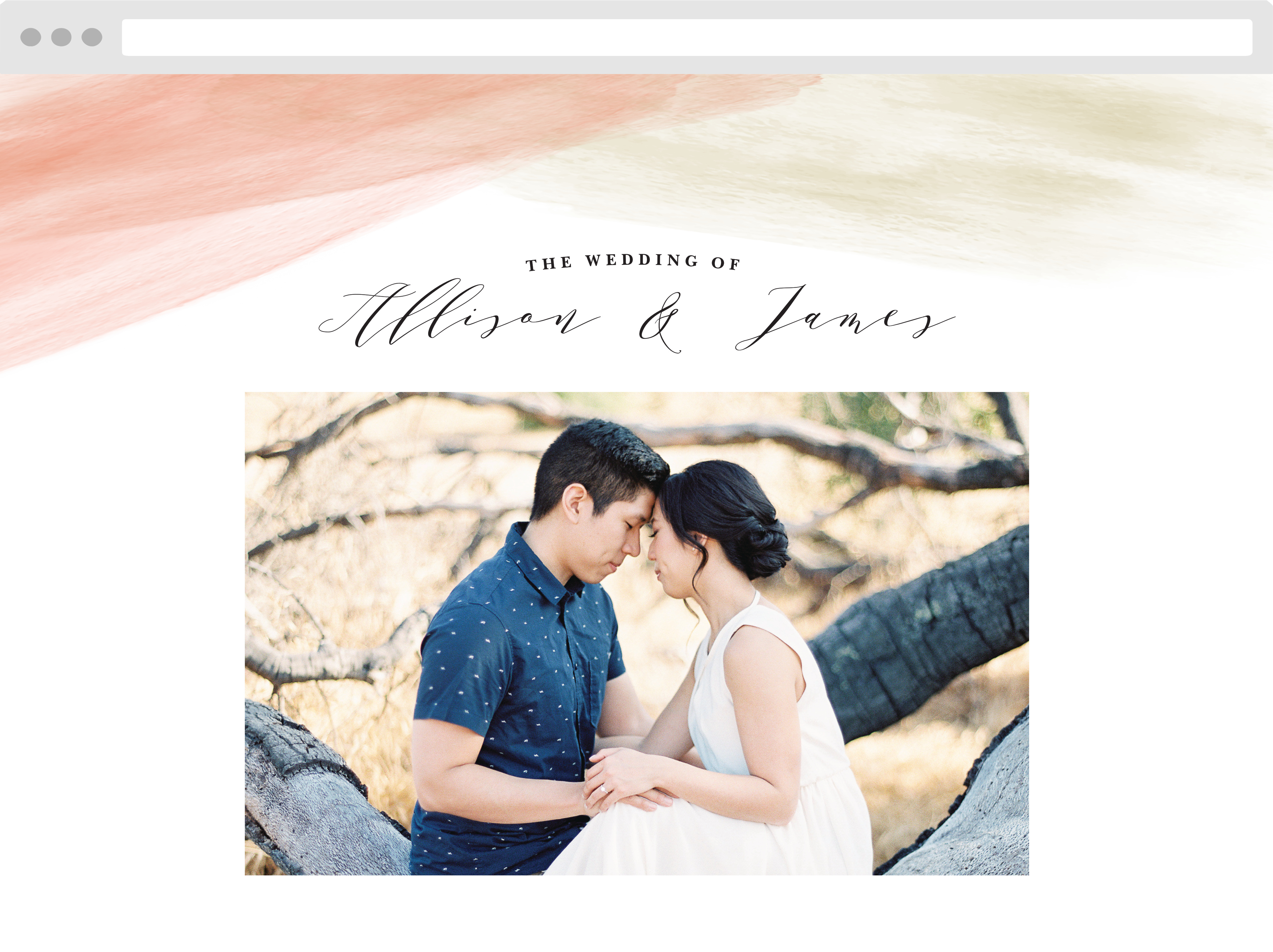 Paint Overlay Wedding Website
