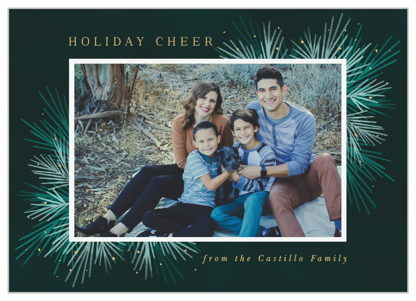 Photo Festive Holiday Cards