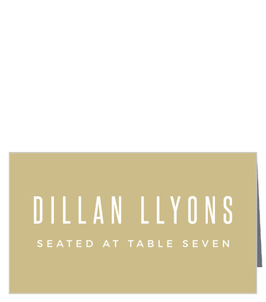 Printed on striking gold paper, the Gilded Stroke Place Cards are the perfect complement to the gold accents you see on other items in this wedding invitation package. 