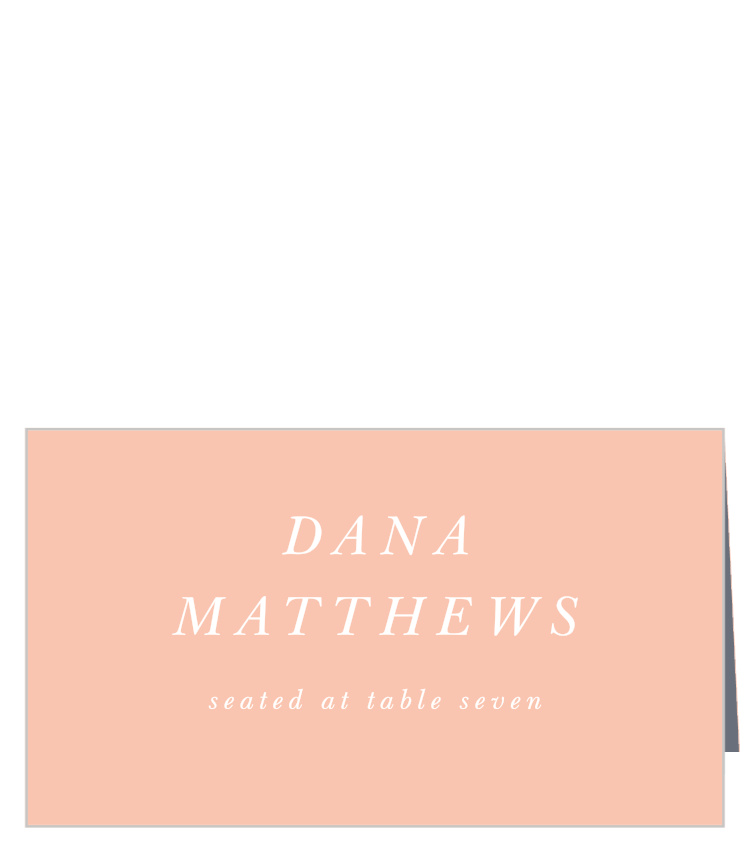 Modern Polaroid Place Cards