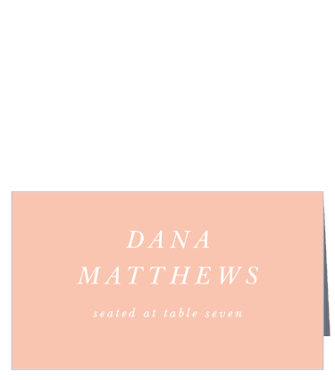 Modern Polaroid Place Cards