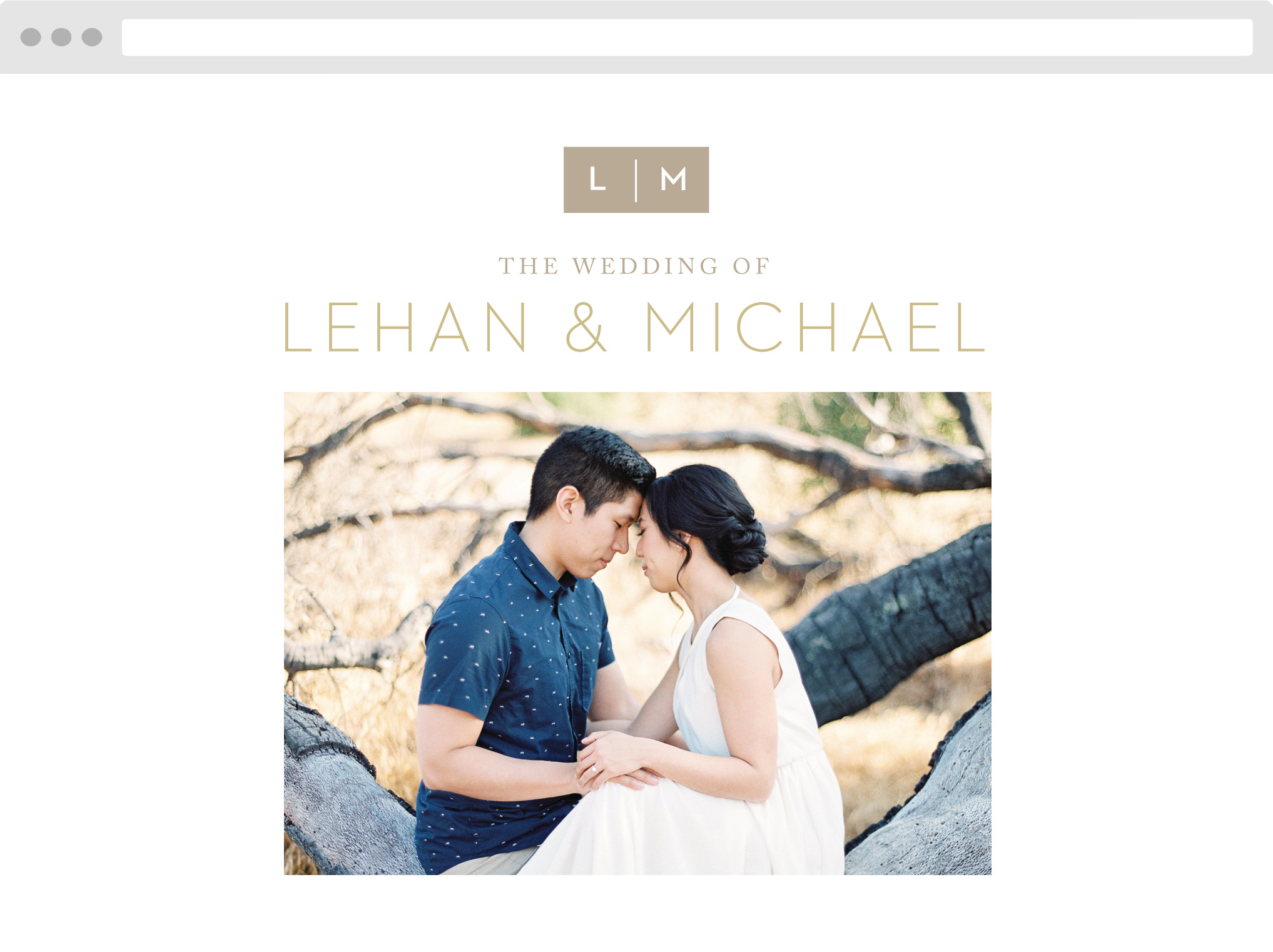 Simply Stated Wedding Website