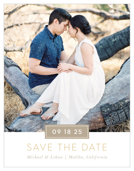 Ensure your loved ones will mark their calendars for your wedding with our Simply Stated Save-the-date Magnets.