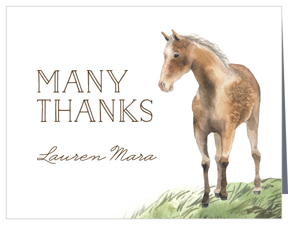 Winter Mane Baby Shower Thank You Cards