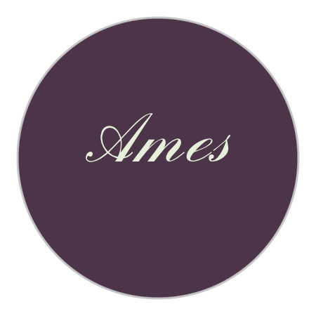 Golden Rings Wedding Stickers