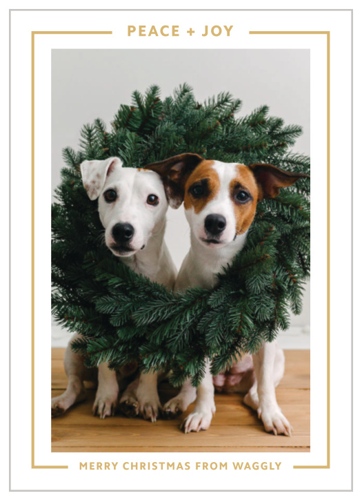 Our Twinkle Lights Corporate Holiday Cards are the perfect way to show your appreciation for clients and employees alike! 