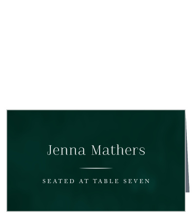 Our Formal Velveteen Wedding Place Cards are the perfect way to organize the seating at your wedding festivities!