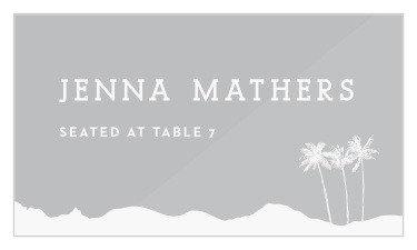 Palm Springs Clear Place Cards