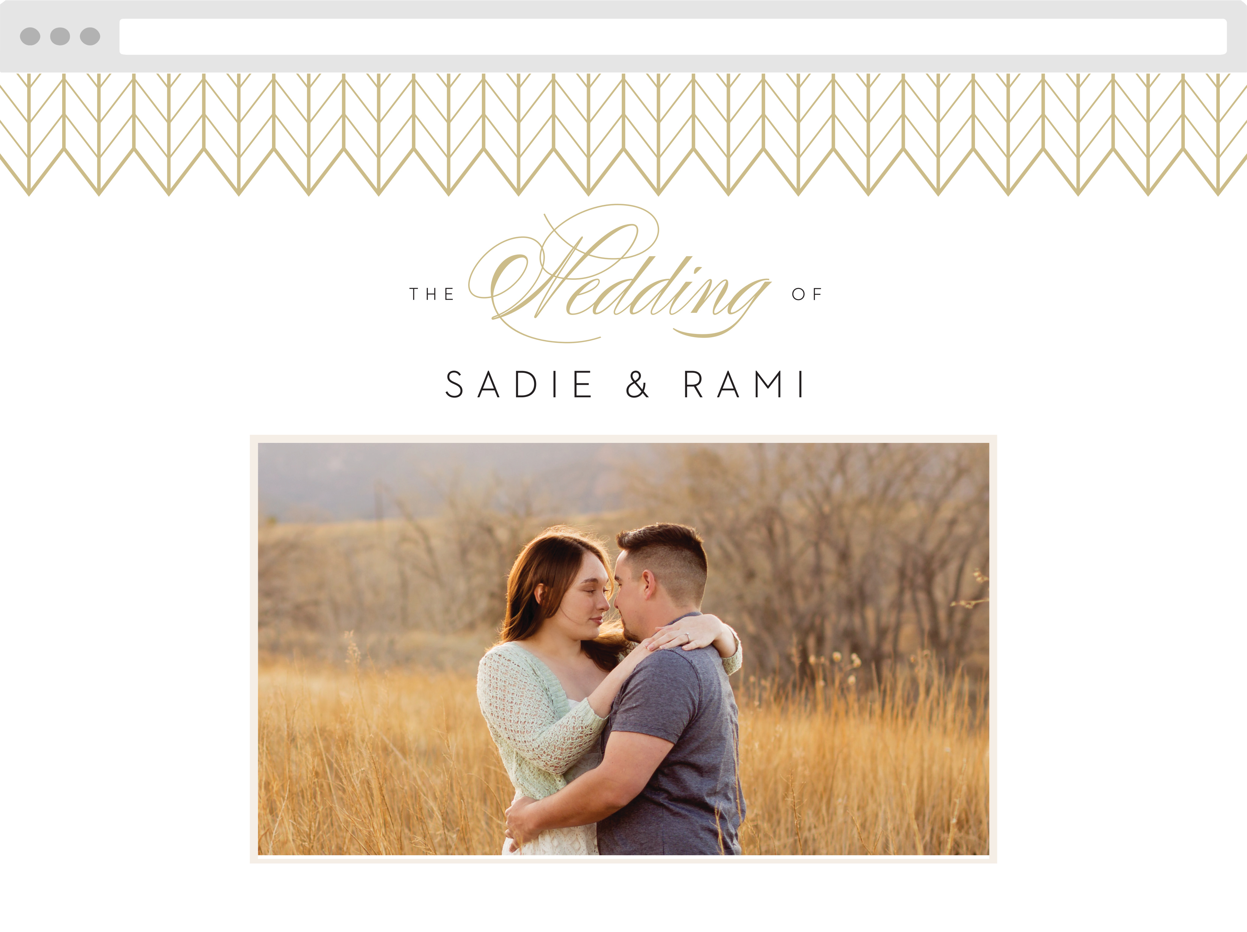 Glamorous Chevron Wedding Website