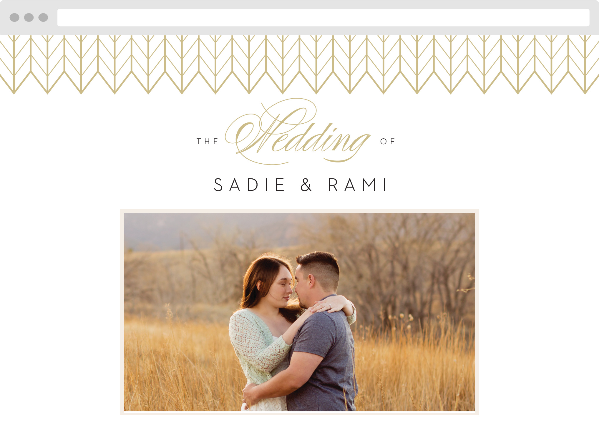 Glamorous Chevron Wedding Website