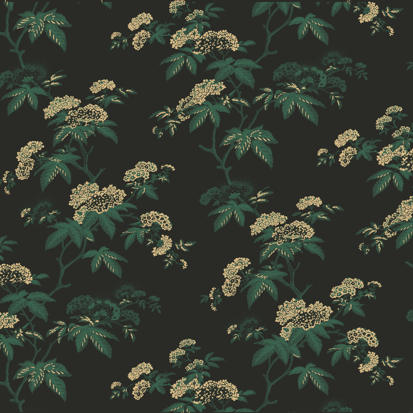 Forest Canopy Wallpaper