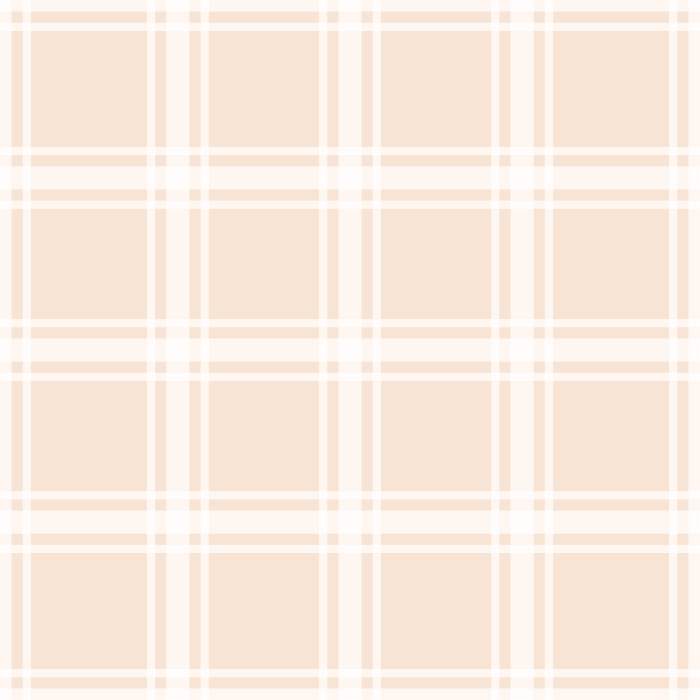 Some things are timeless, and plaid is one of those.