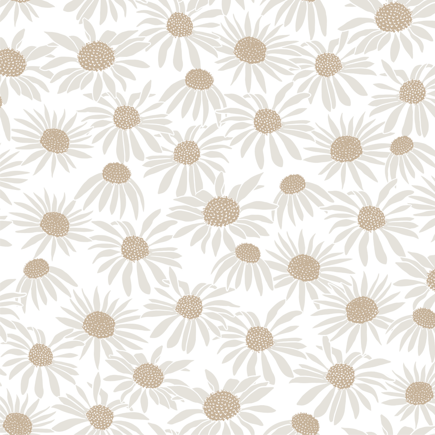 Coneflower Fields Wallpaper