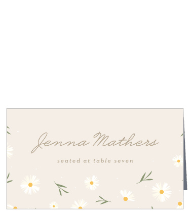 Falling Daisies Place Cards