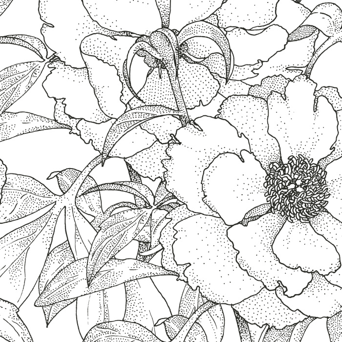 Add a classic touch to the interior home with the floral pattern used in our Vintage Anemones Peel And Stick Removable Wallpaper.