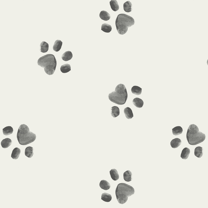 Dog lovers will not be able to resist the look of our Playful Paws Peel And Stick Removable Wallpaper!