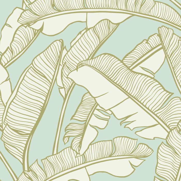 Create the perfect getaway in your own home with our Banana Leaves Wallpaper.