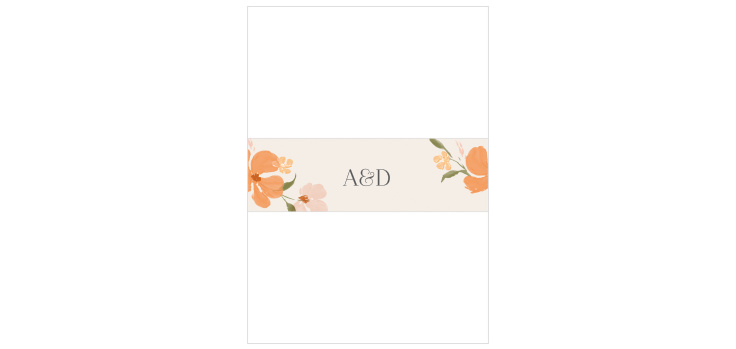 Colorful Cosmos Wedding Belly Bands