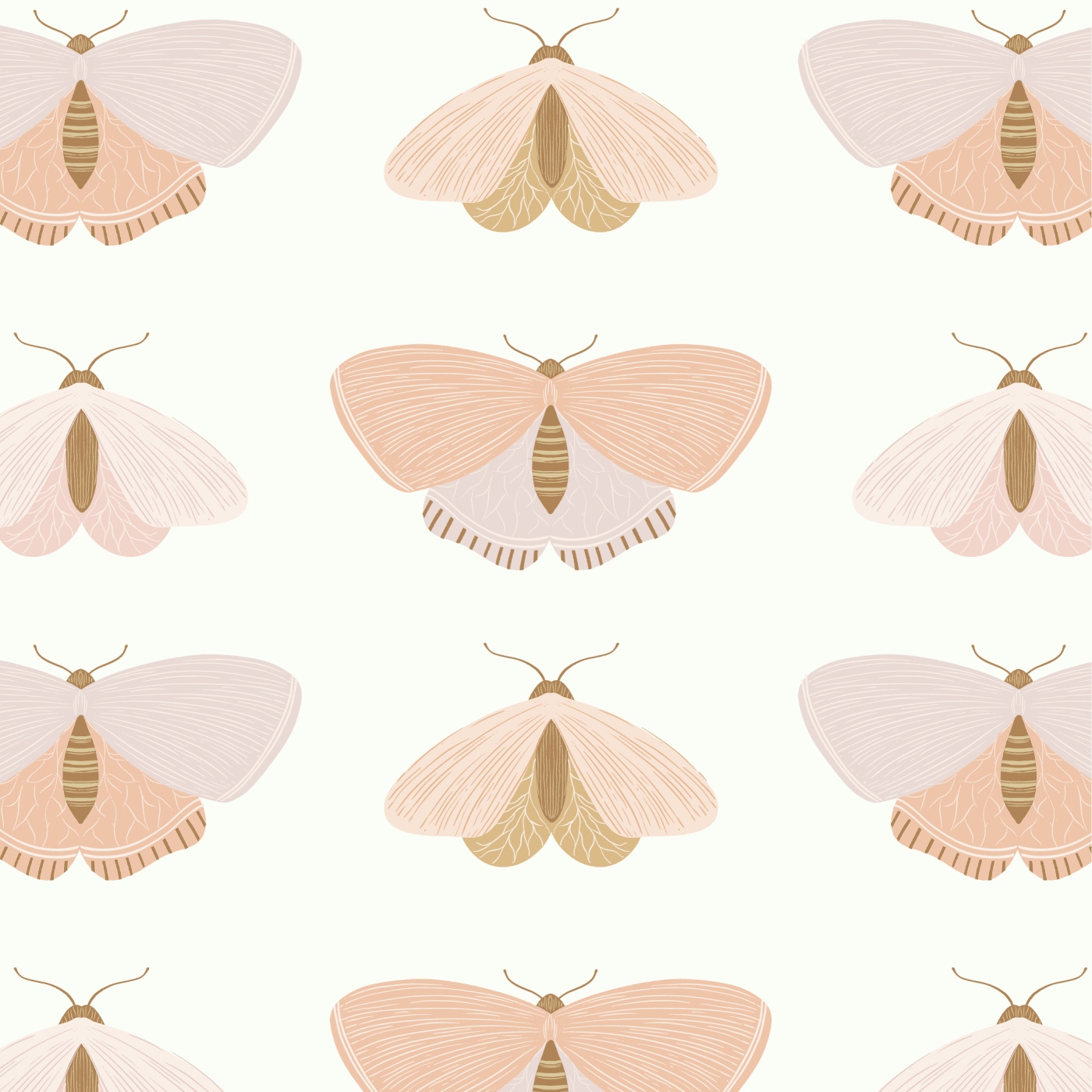 Moths Gallery Wallpaper