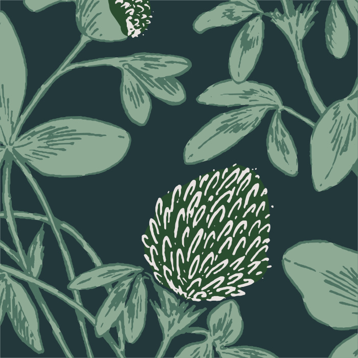 Our Clover Blossoms Peel and Stick Wallpaper is sure to add a nature statement to any wall in your home.