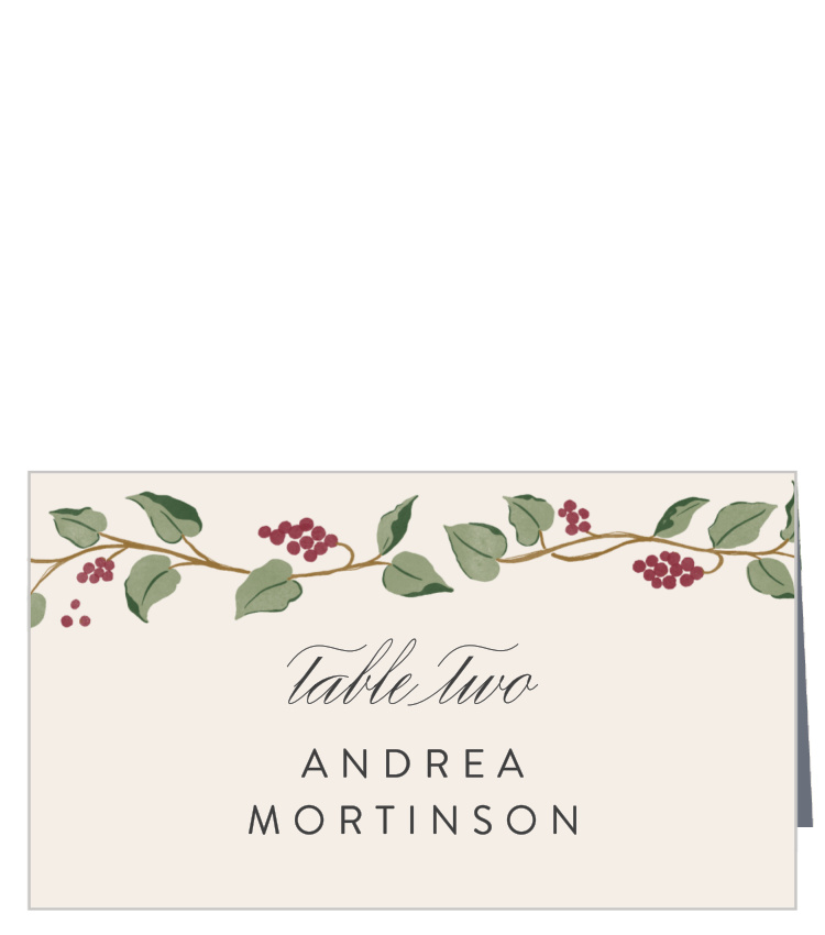 Vineyard Vines Place Cards