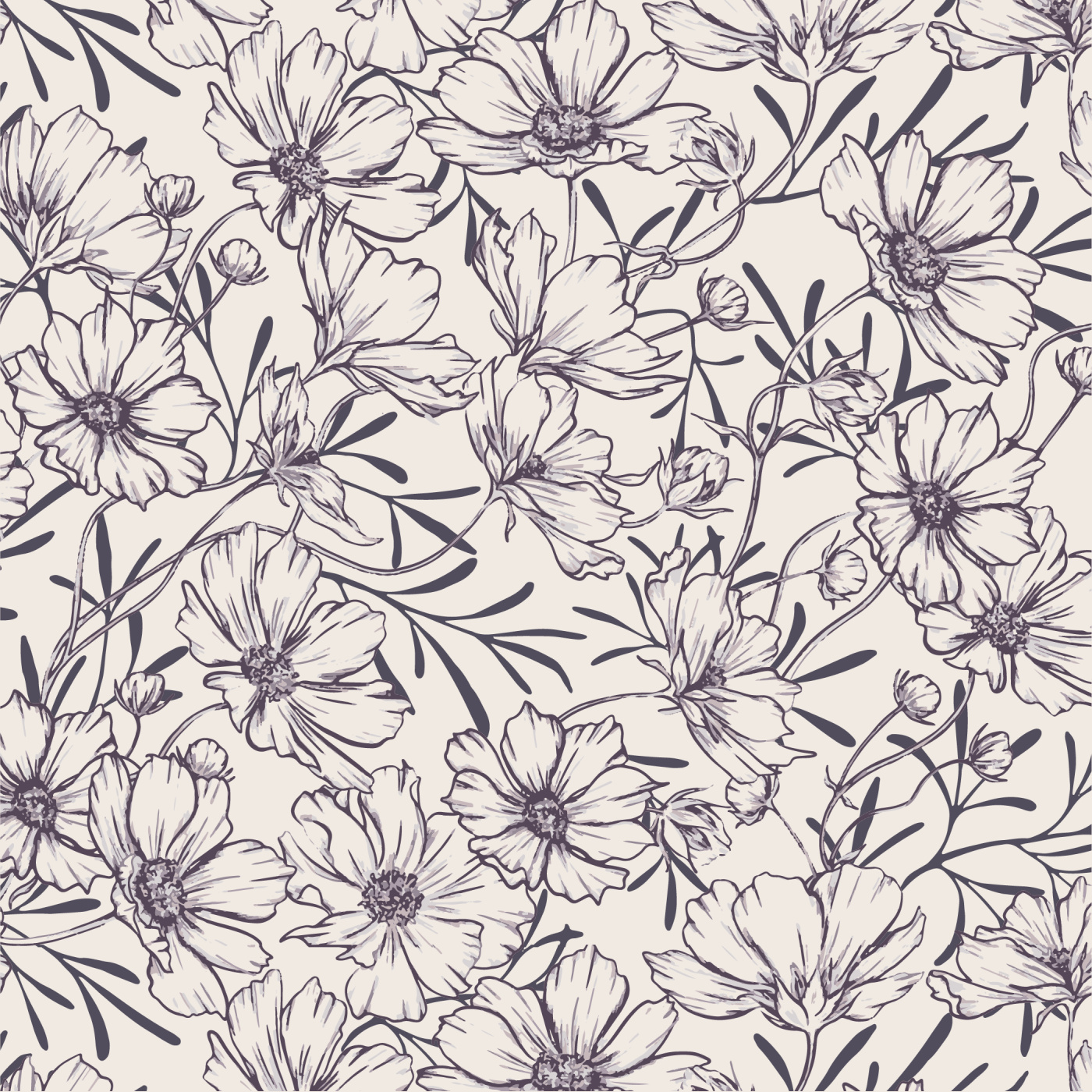 Cosmos Blossoms Wallpaper