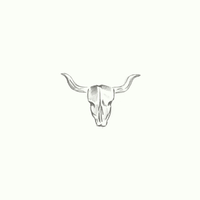 Create a uniquely western look with our Steer Horn Wallpaper.