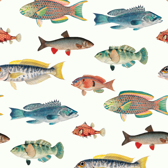 Add some bold color to your space with our Ocean Fish Peel and Stick Wallpaper.