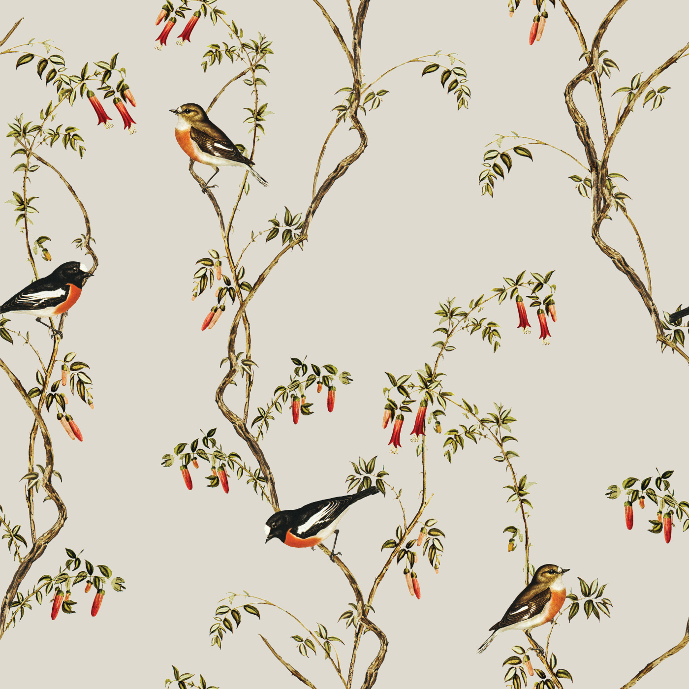 Robin & Vines Wallpaper