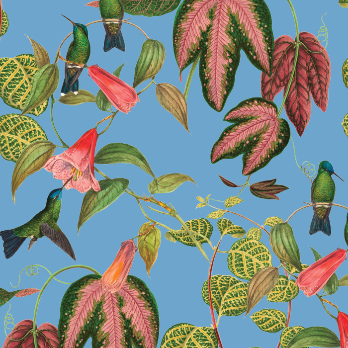 Create a stunning space with our Exotic Hummingbird Peel and Stick Removable Wallpaper.
