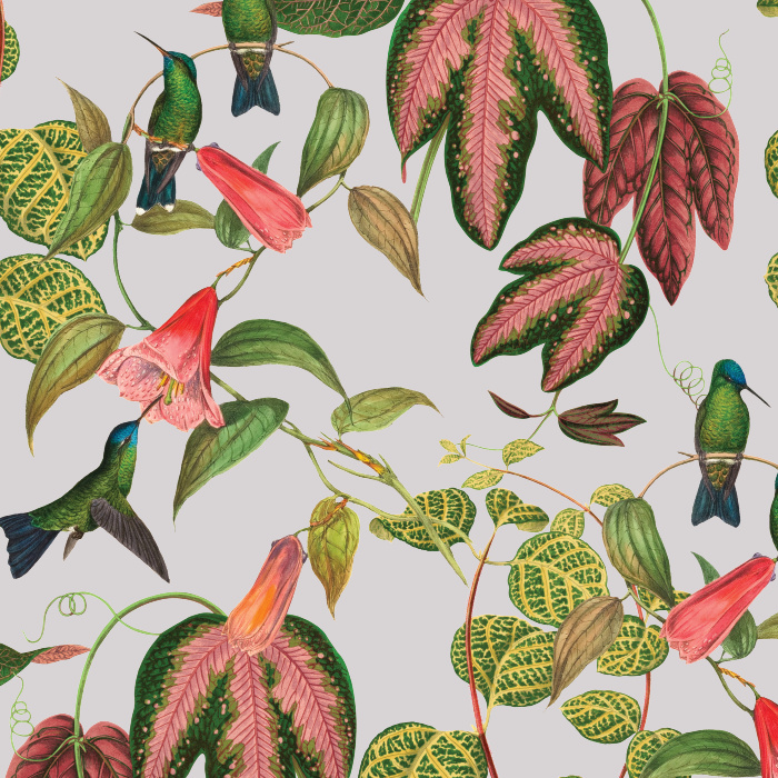Create a stunning space with our Exotic Hummingbird Peel and Stick Removable Wallpaper.