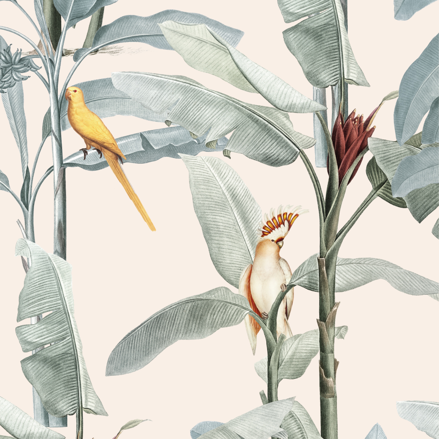 Palm & Parrots Wallpaper