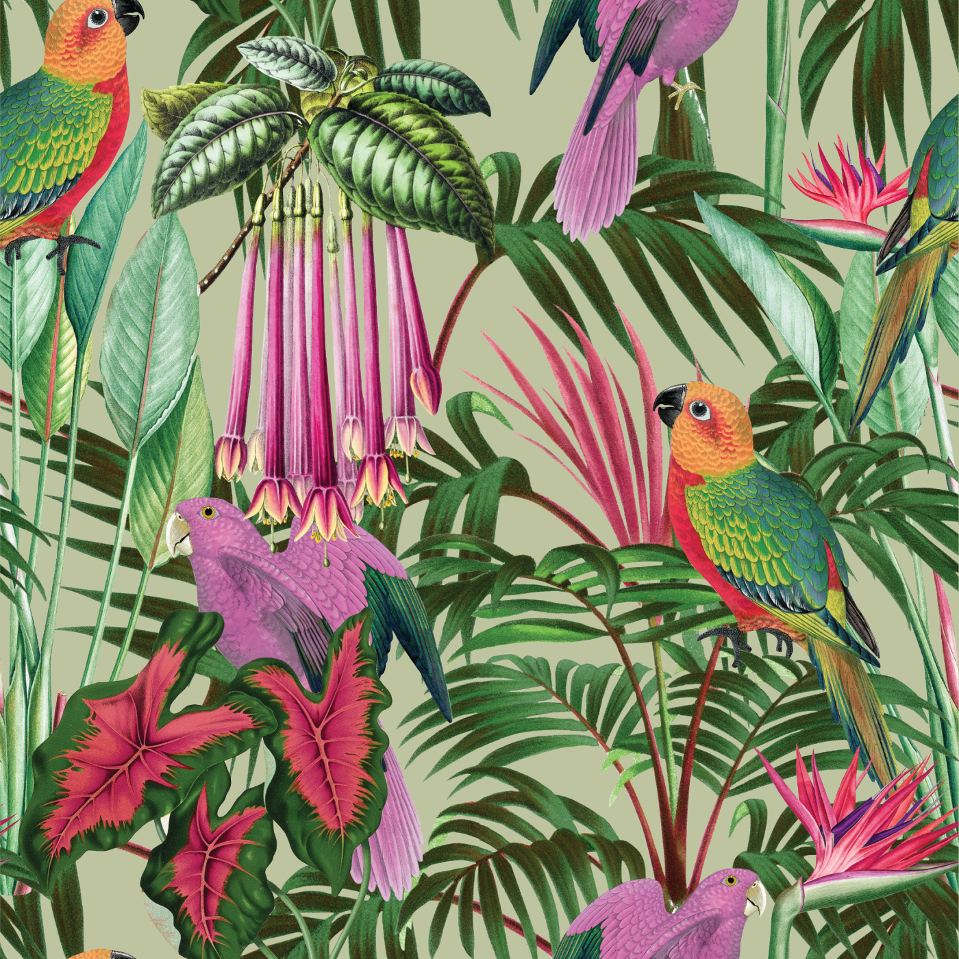 Palm Royale Wallpaper