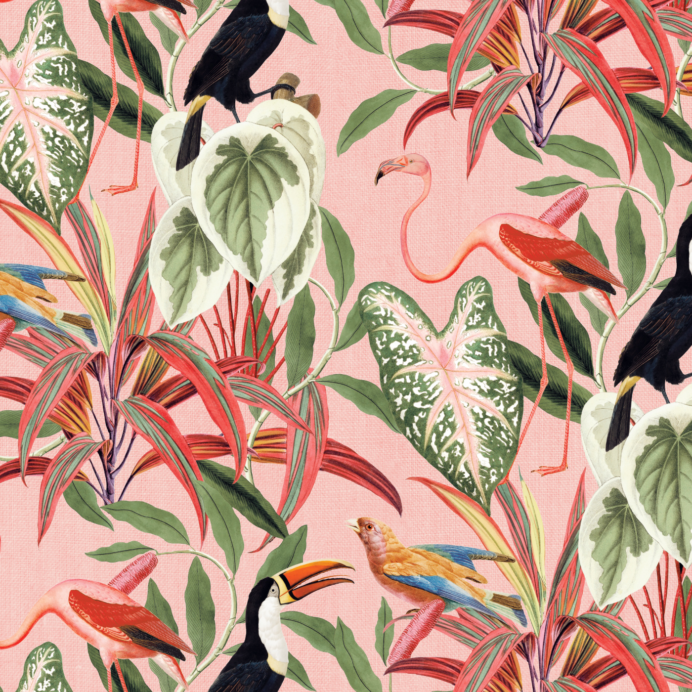 Tropical Elegance Wallpaper