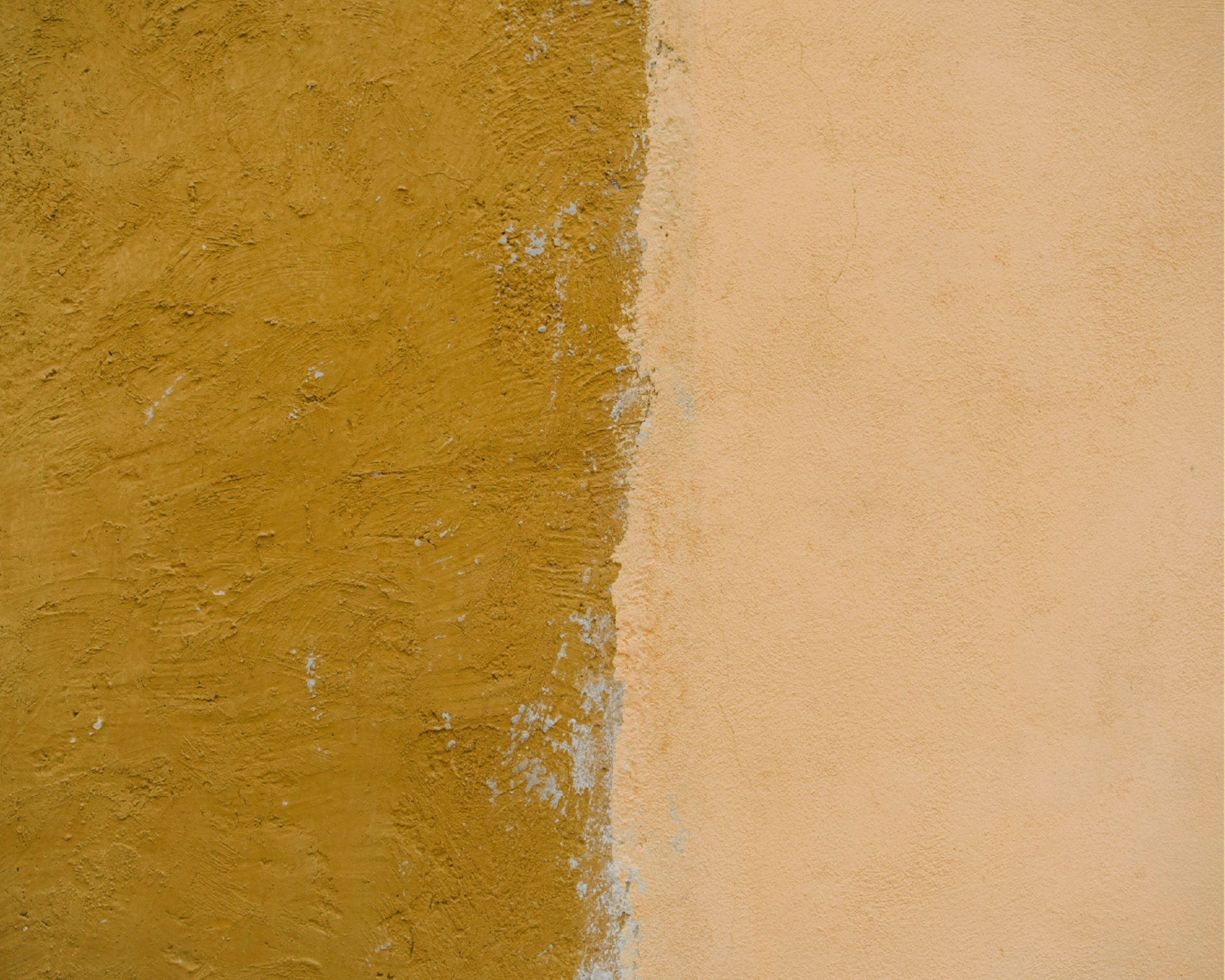 Color Block Photo Mural