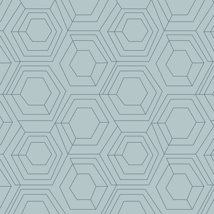 Our Hexagon Web Peel And Stick Removable Wallpaper brings an abstract accent anywhere in your home.