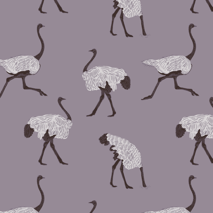 Let your fun personality shine through with our Ostrich Run Peel and Stick Removable Wallpaper. 